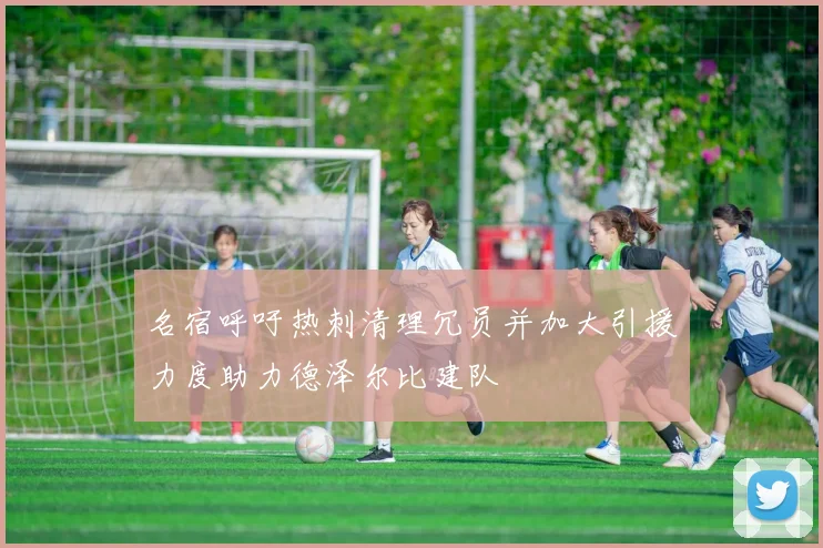 名宿呼吁热刺清理冗员并加大引援力度助力德泽尔比建队